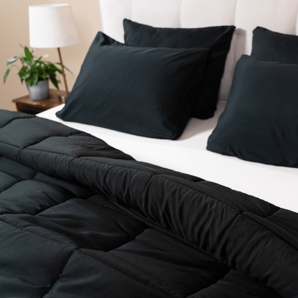 Zelesta Comfort Uni Taie d'Oreiller Set de 2 - Noir