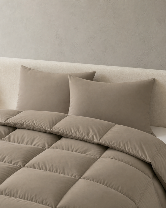 Zelesta Comfort Uni Pillowcase Set Of 2 - Natural Taupe