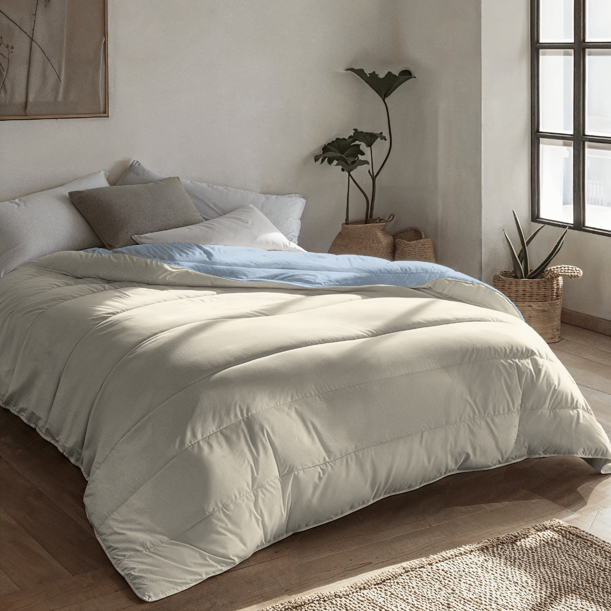 Zelesta Royalbed - Brume Bleue & Plage de Sable