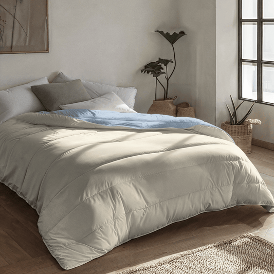 Zelesta Royalbed - Brume Bleue & Plage de Sable