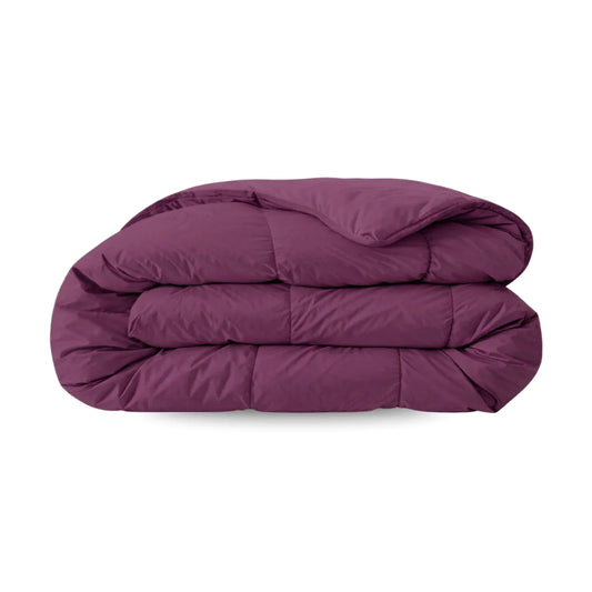 Couette d'été Zelesta Comfort Uni - Bordeaux