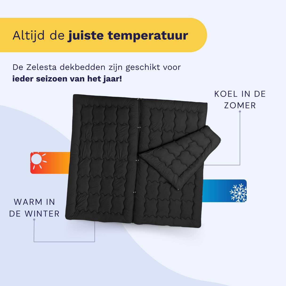 Zelesta Flexibed - Noir