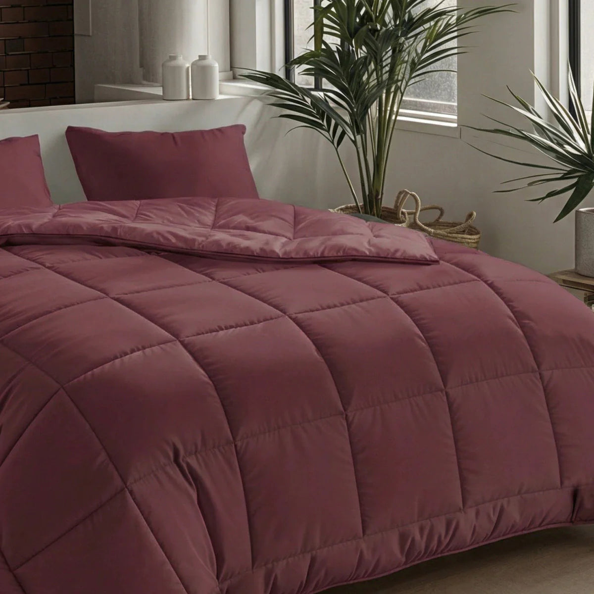 Couette d'été Zelesta Pure Uni Cotton - Bordeaux
