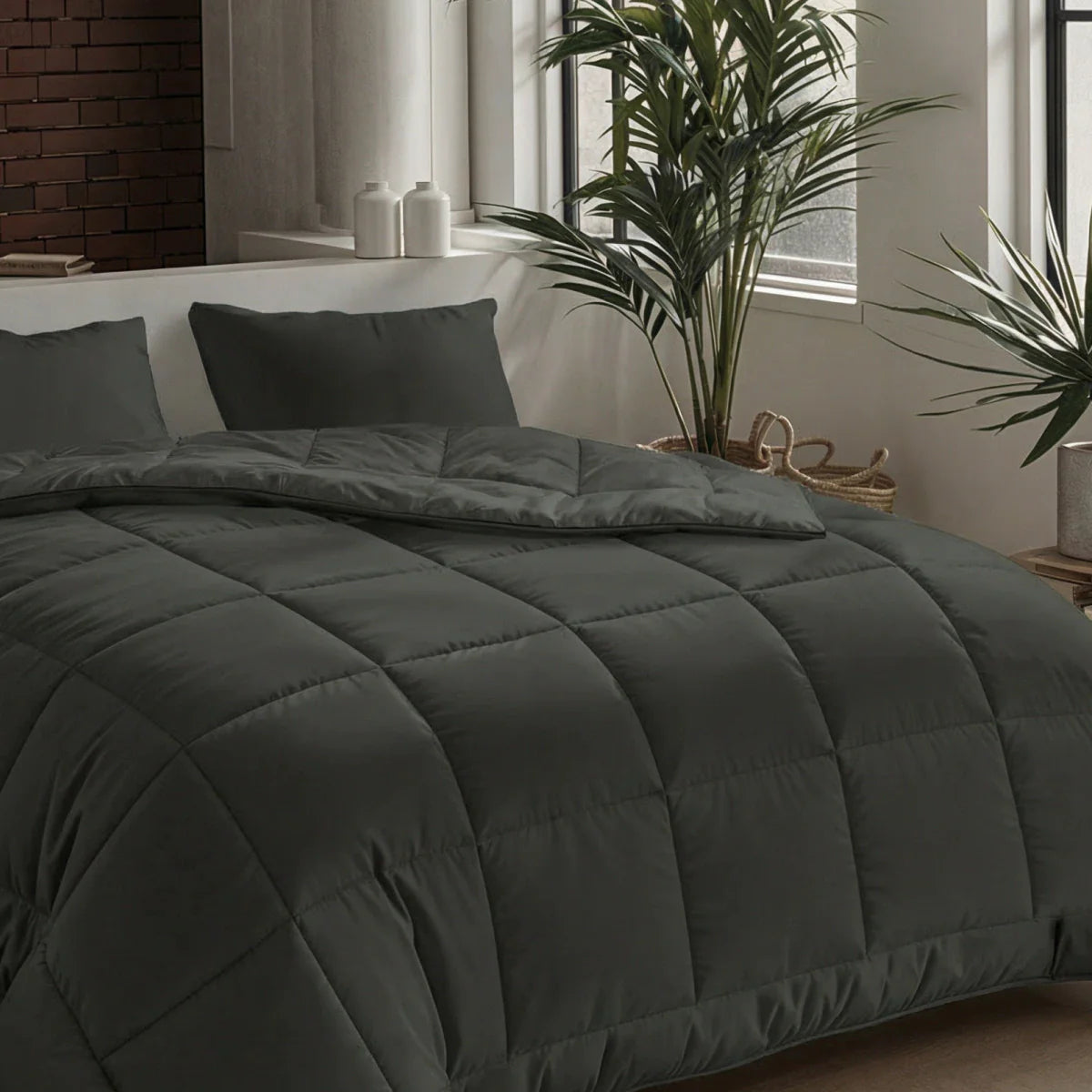 Couette d'été Zelesta Pure Uni Cotton - Olive Noir