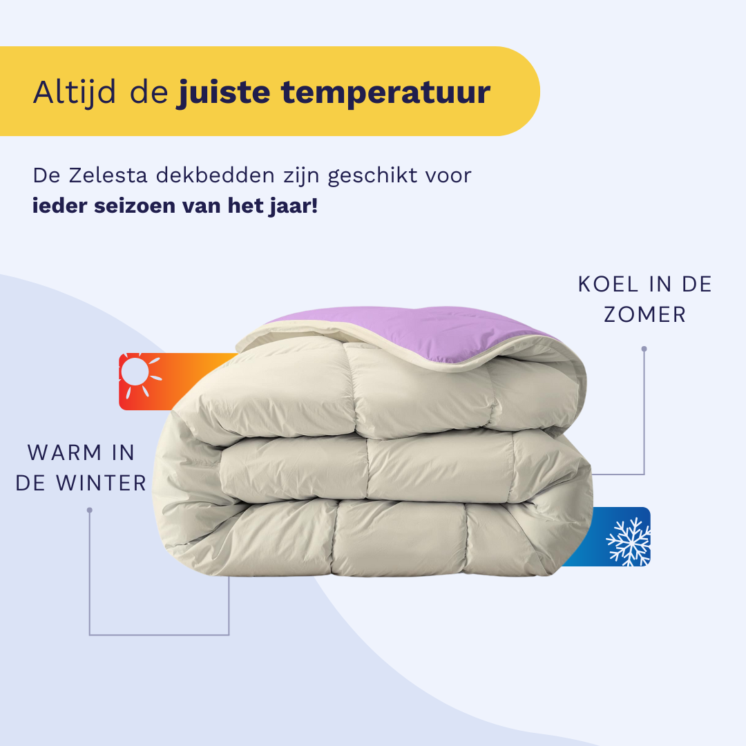 Zelesta Royalbed - Lila & Plage de Sable