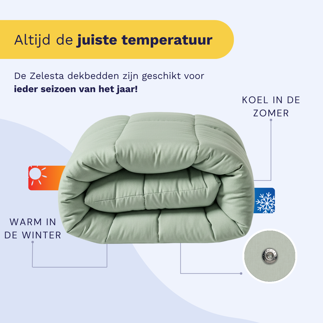 Couette Zelesta Pure Uni Cotton 4 saisons - Vert naturel