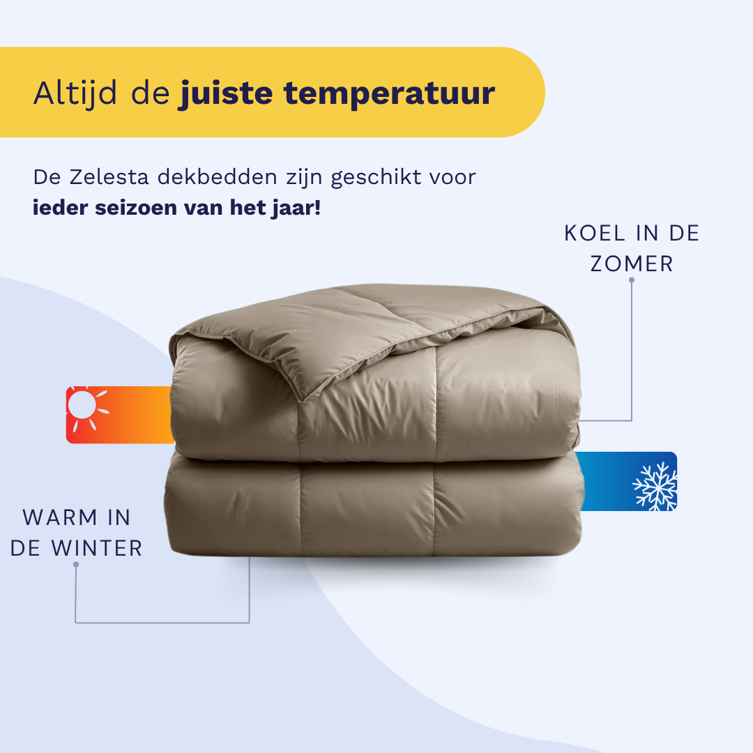 Couette Zelesta Deluxe Uni Satin Coton - Brun Noix