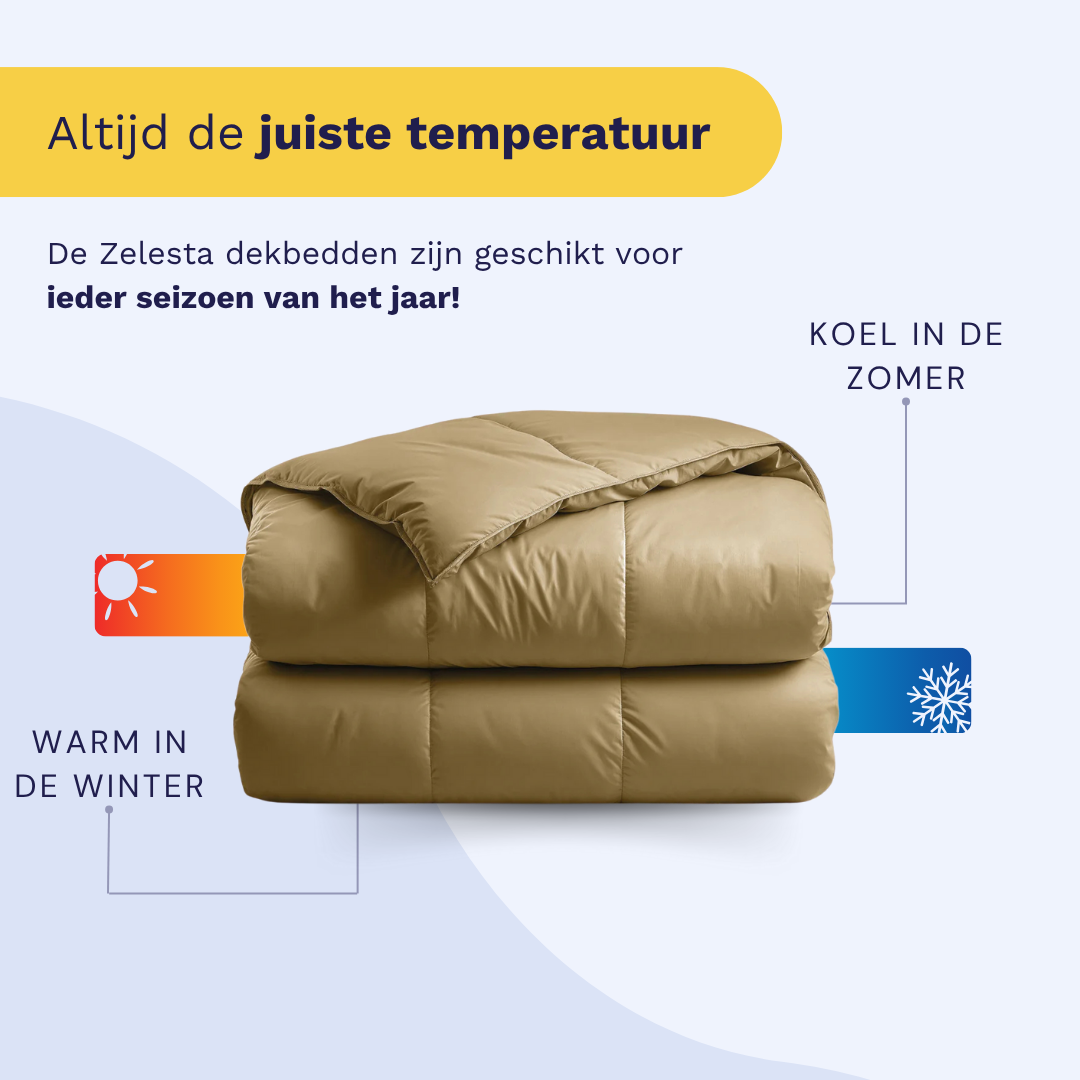 Couette Zelesta Deluxe Uni Satin Coton - Jaune Ocre