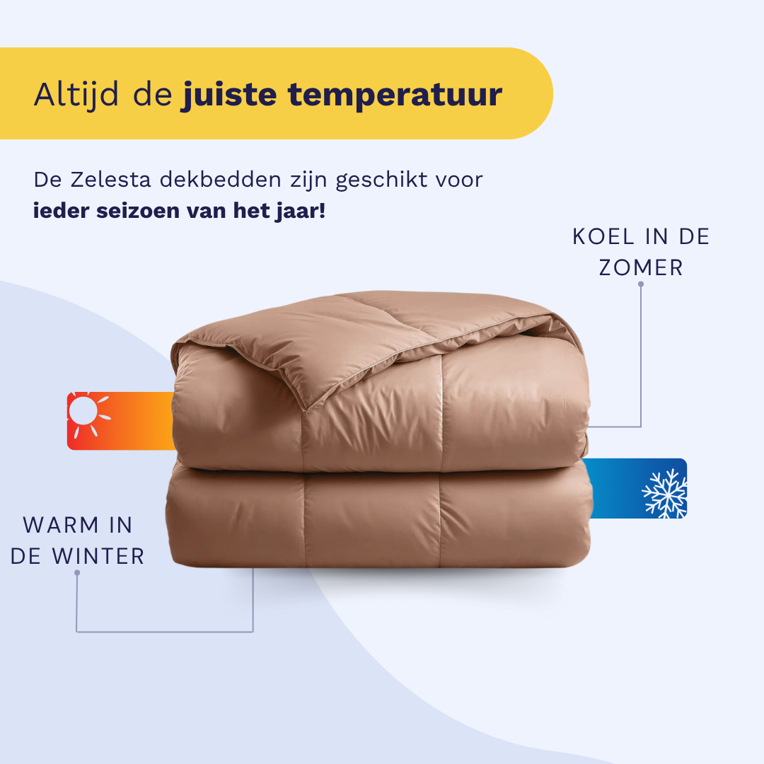 Couette Zelesta Deluxe Uni Satin Coton - Rouge Terre