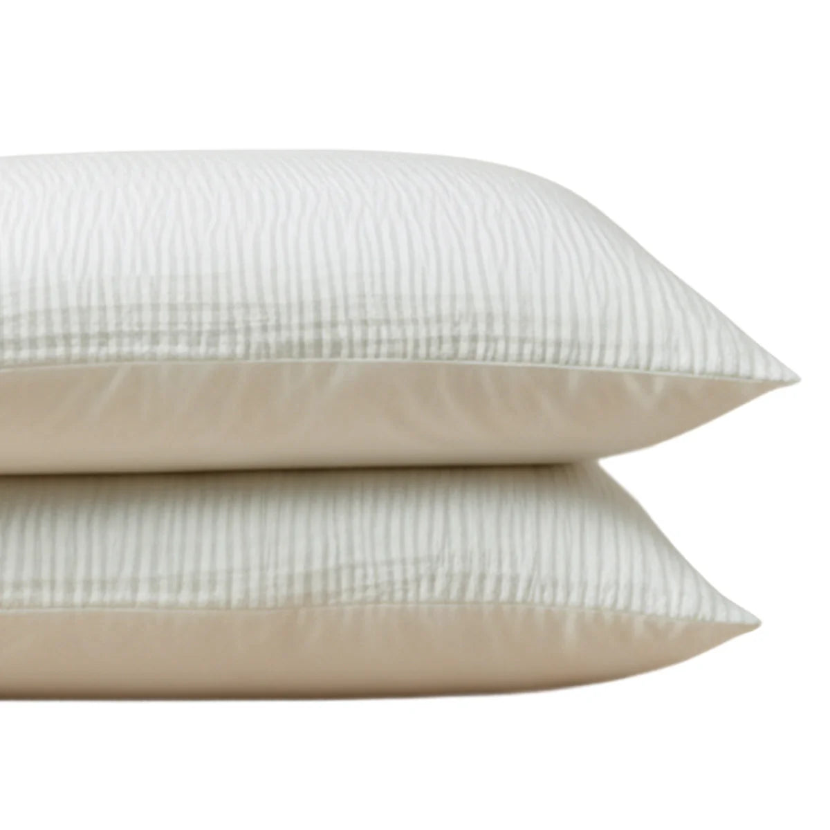 Ensemble de 2 taies d'oreiller Zelesta Special Velvet Chic - Beige