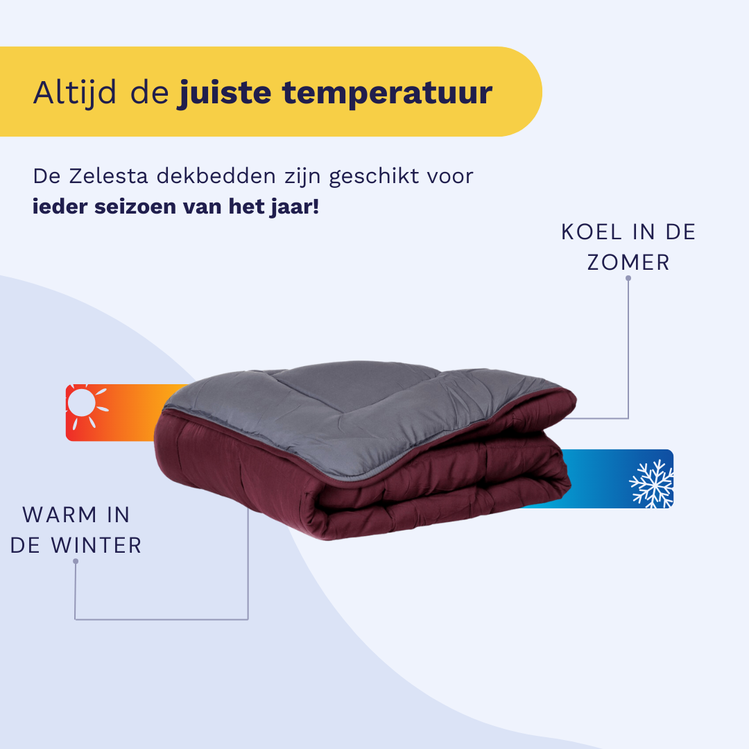 Zelesta Everyday Duo Couette - Violet & Anthracite
