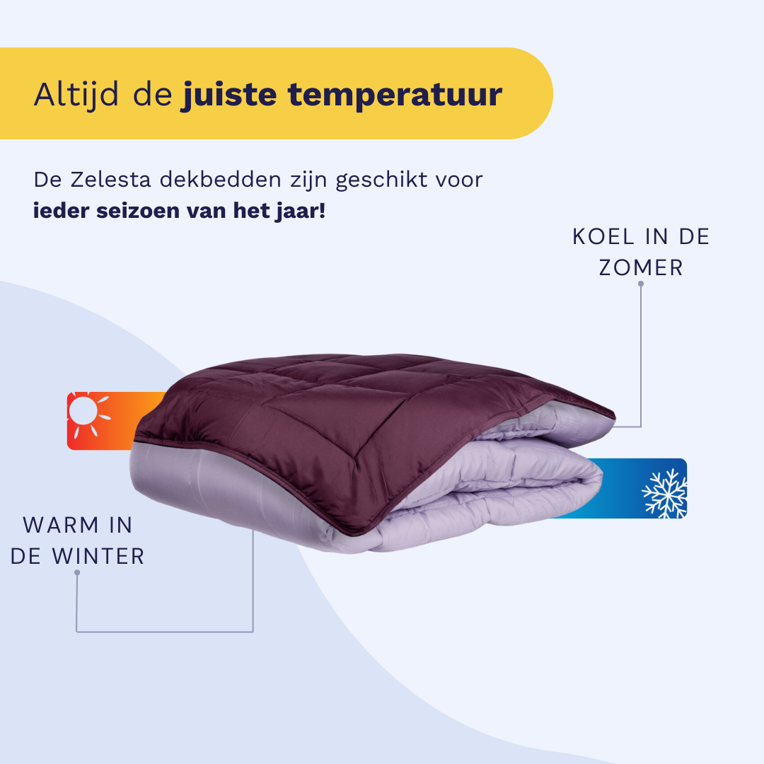 Zelesta Everyday Duo Couette - Violet et Lilas