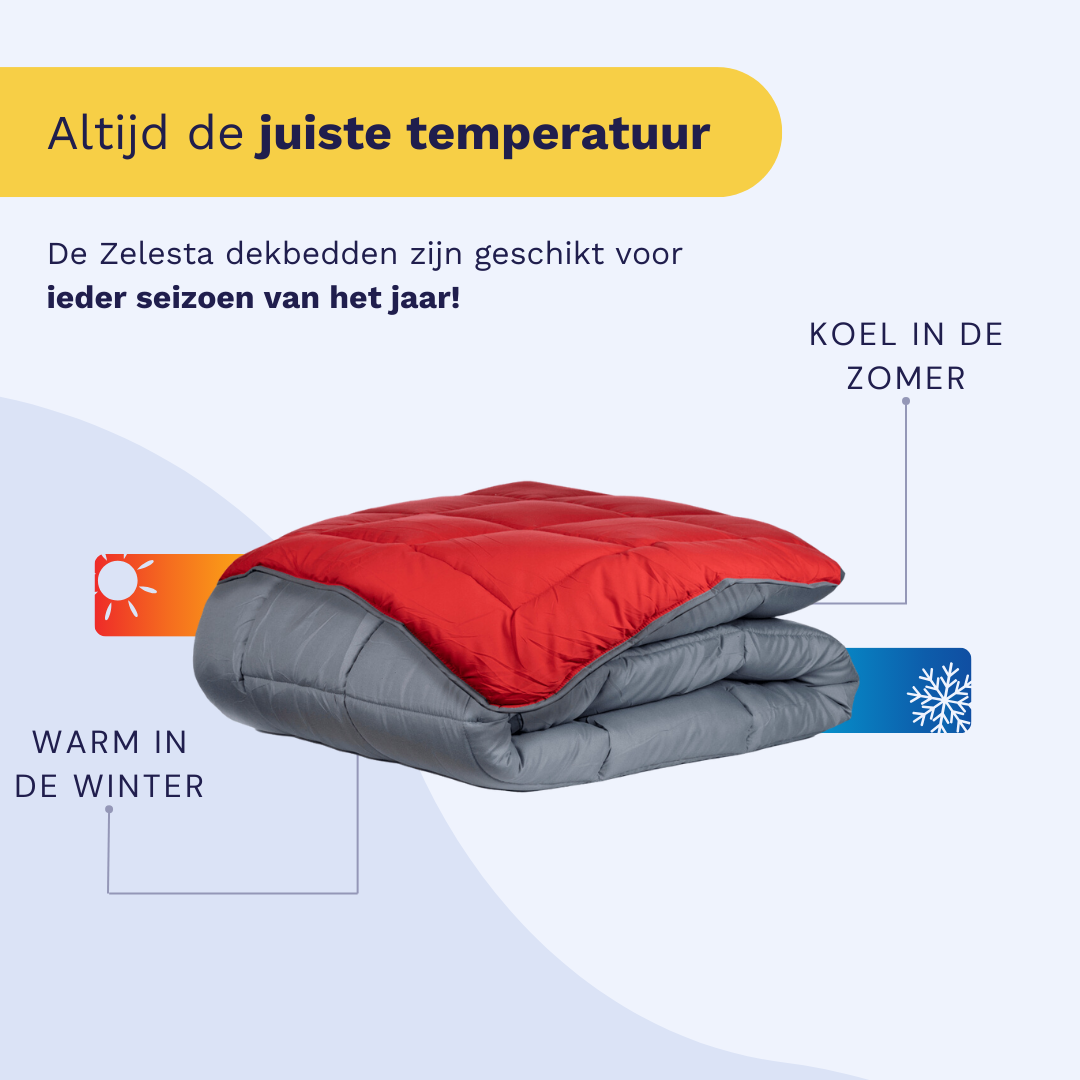 Zelesta Everyday Duo Couette - Anthracite & Rouge