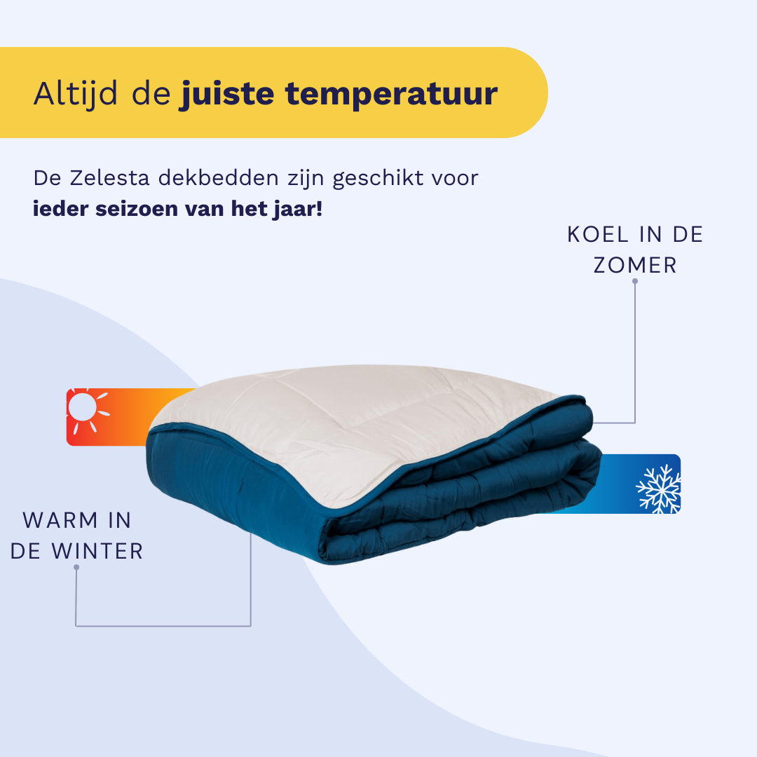 Zelesta Everyday Duo Couette - Turquoise & Beige