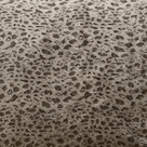 Panthère Taupe